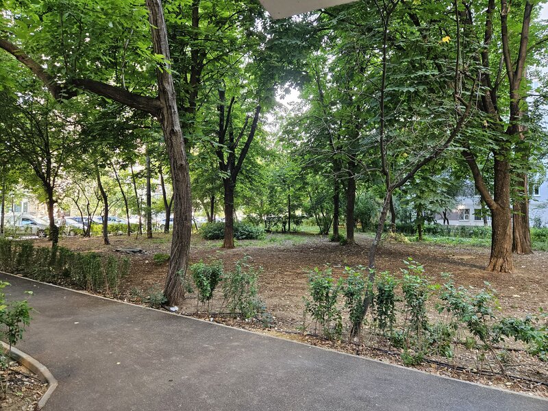 Drumul Taberei, bd. 1 Mai,